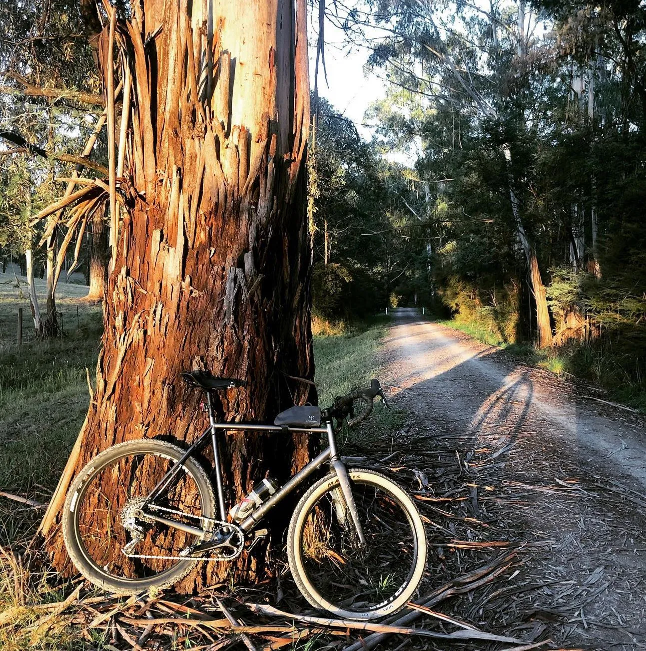 Discover the Warburton Rail Trail