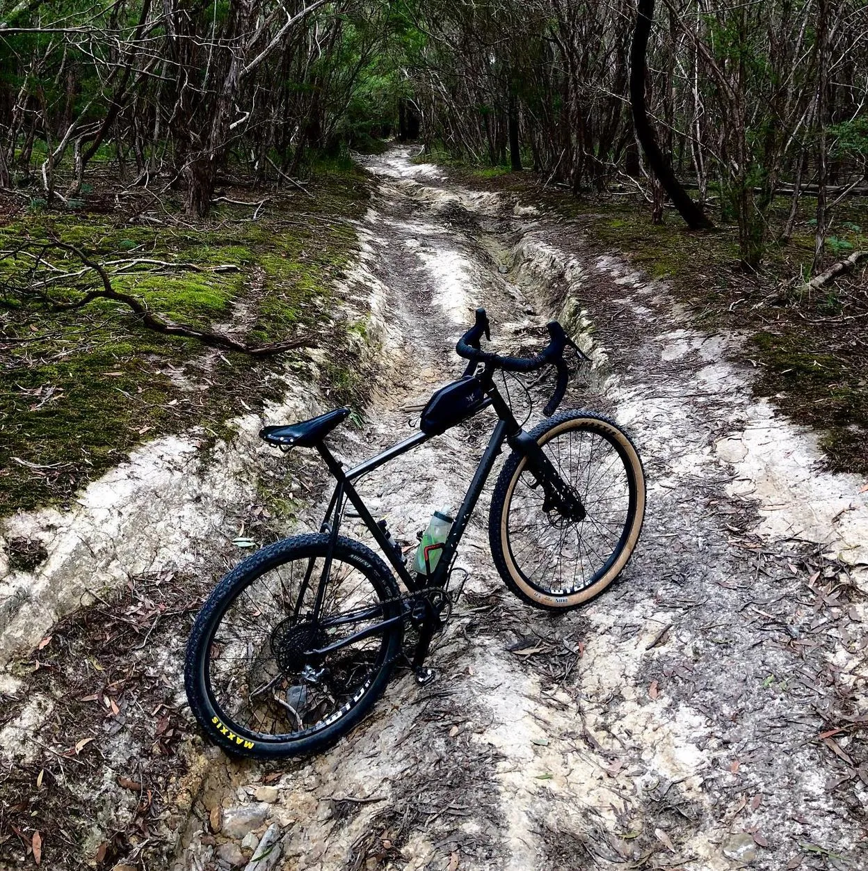 Yarra Ranges National Park