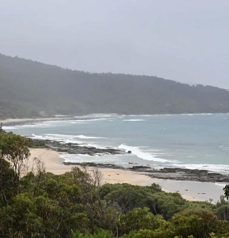 What to do on Great Ocean Road in the rain?